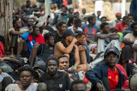 z immigration4